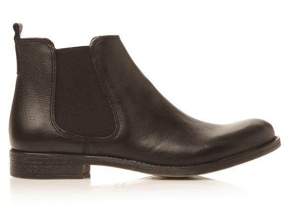 PADDY D-0092508410001010_ALT5